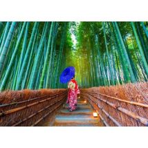 Enjoy Puzzle Asian Woman in Bamboo Forest 1000 Teile Puzzle Enjoy-Puzzle-1293