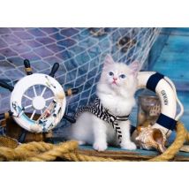 Enjoy Puzzle Captain Kitten 1000 Teile Puzzle Enjoy-Puzzle-1329