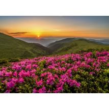 Enjoy Puzzle Pink Dusk 1000 Teile Puzzle Enjoy-Puzzle-2063