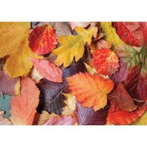 Magnolia Colorful Leaves 1000 Teile Puzzle Magnolia-3525