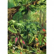 Kiub Dschungel 1000 Teile Puzzle Kiub-90082