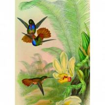 Kiub Kolibri 1000 Teile Puzzle Kiub-90087