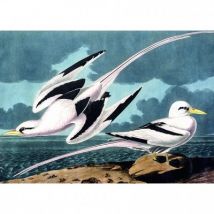 Kiub Möwen 1000 Teile Puzzle Kiub-90091