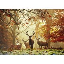 Heye Alex Saberi - Stags 1000 Teile Puzzle Heye-29805