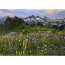 Heye Tatoosh Mountains 2000 Teile Puzzle Heye-29903