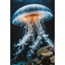Interdruk Colourful Nature - Jellyfish 250 Teile Puzzle Interdruk-385567