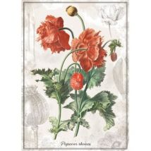Interdruk Botanic Collection - Poppy 1000 Teile Puzzle Interdruk-384942
