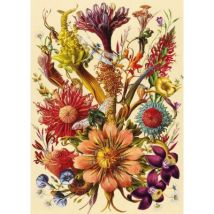 Interdruk Blumen aus fernen Ländern 1000 Teile Puzzle Interdruk-370044