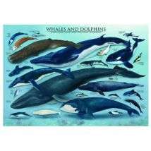 Eurographics Delfine und Wale 1000 Teile Puzzle Eurographics-6000-0082