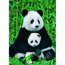 Eurographics Panda-Familie 1000 Teile Puzzle Eurographics-6000-0173