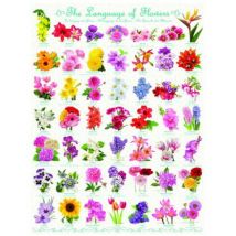 Eurographics Die Blumensprache 1000 Teile Puzzle Eurographics-6000-0579