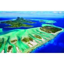 Eurographics Save the Planet Collection - Korallenriff 1000 Teile Puzzle Eurographics-6000-5538