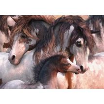 Schmidt Spiele Pinto-Herde 1000 Teile Puzzle Schmidt-Spiele-57389