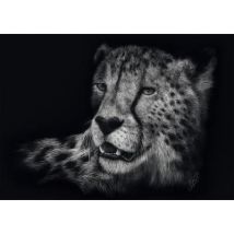Schmidt Spiele Speed - Gepard : Im Zeichen der Anmut  1000 Teile Puzzle Schmidt-Spiele-58542