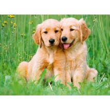 Ravensburger Golden Retriever Brüder 500 Teile Puzzle Ravensburger-01902