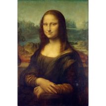 DToys Leonardo da Vinci : Mona Lisa 1000 Teile Puzzle Dtoys-72689