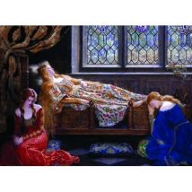 DToys John Collier - The Sleeping Beauty 1000 Teile Puzzle Dtoys-73822