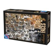 DToys Collage - Katzen 1000 Teile Puzzle Dtoys-75260