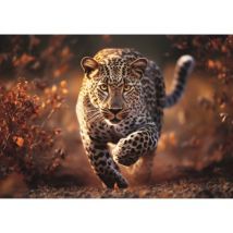 Trefl Foto-Odyssee: Wilder Leopard 1000 Teile Puzzle Trefl-10818