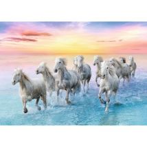 Trefl Galloping White Horses 500 Teile Puzzle Trefl-37289