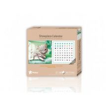 Pintoo Puzzle aus Kunststoff - A Chilly Day 200 Teile Puzzle Pintoo-H1598