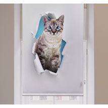Store plus d'animaux Chat