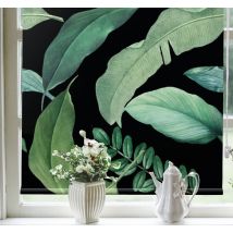 Store de feuilles vertes dans un décor sombre