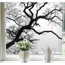 Stores arbre d'hiver sombre vu par la fenêtre