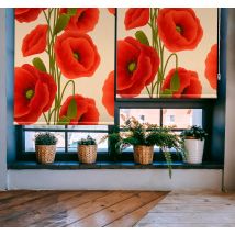 Store fleurs et plantes coquelicots rouges