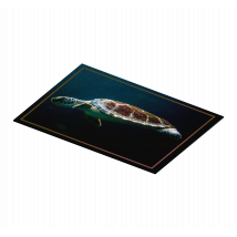 sets de tables avec tortues Tortue qui nage