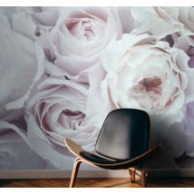 Photo murale de roses élégant romantique blanc et rose
