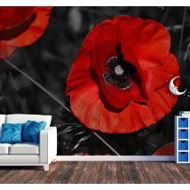 Papier peint photo Fleur rouge