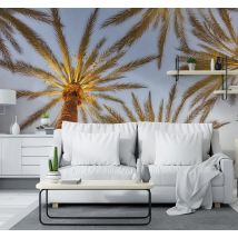 Photo murale Palmiers avec une vue du dessous