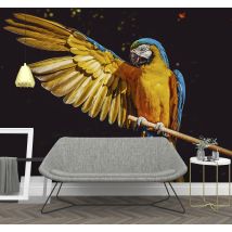 Photo murale oiseau tropical Perroquet
