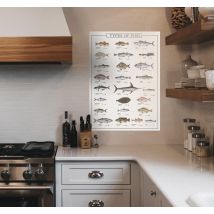 Poster mural motif types de poissons
