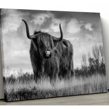 Tableau animaux Bovins highland noir et blanc