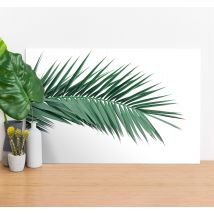 Tableau végétal Feuille de plante tropicale