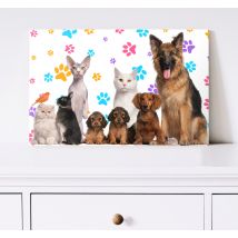 Tableau animaux Chiens et chats