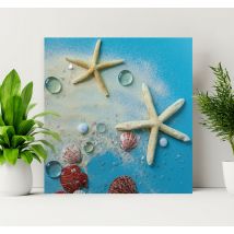 Tableau 3D étoiles de mer sur sable coloré