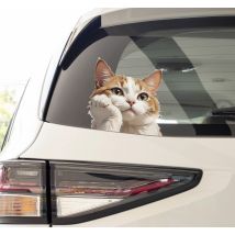Sticker voiture chat pensant