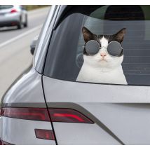 Sticker voiture chat avec des lunettes de soleil