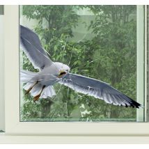 Sticker fenêtre mouette brisant la fenêtre