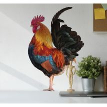 Coq dessin décalcomanie animal de ferme