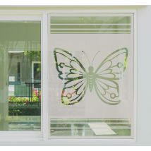 Film fenêtre beau papillon