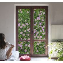 Film occultant fenêtre fleur Fleurs polonaises