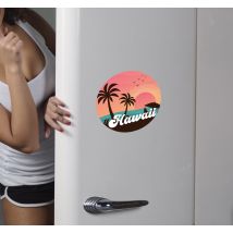 Sticker frigo Hawaii vintage