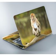 Autocollant MacBook photo de singe