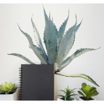 Sticker plante cactus polygonal