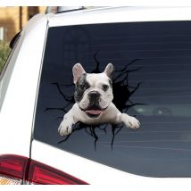 Sticker voiture personnalisé chien qui casse la vitre