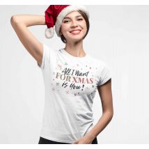 Camiseta navideña all I want for Christmas is you